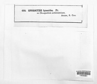 Image Associated With the Occurence